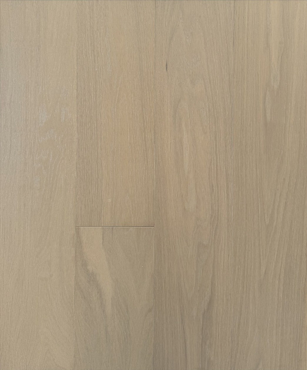 Chestnut (ABC)